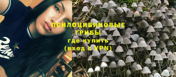 гидра Козельск