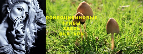 гидра Козельск