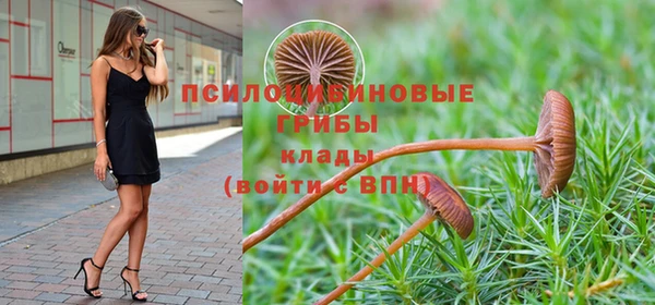 эйфоретик Кодинск