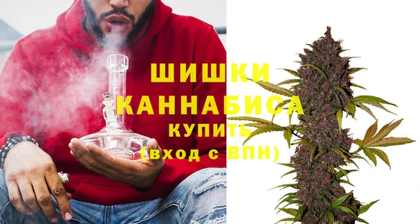 соль ск Козловка