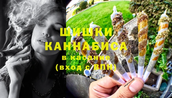 соль ск Козловка
