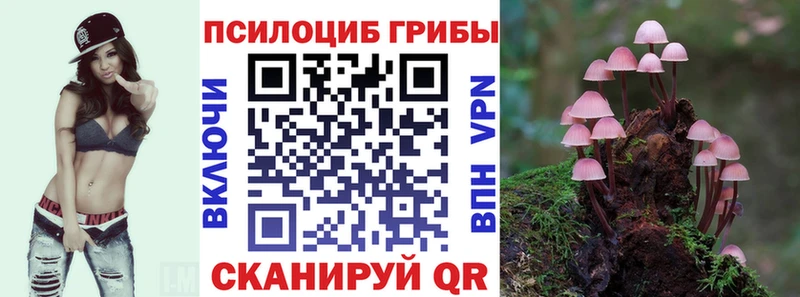 Галлюциногенные грибы ЛСД  Купить где  Высоковск 